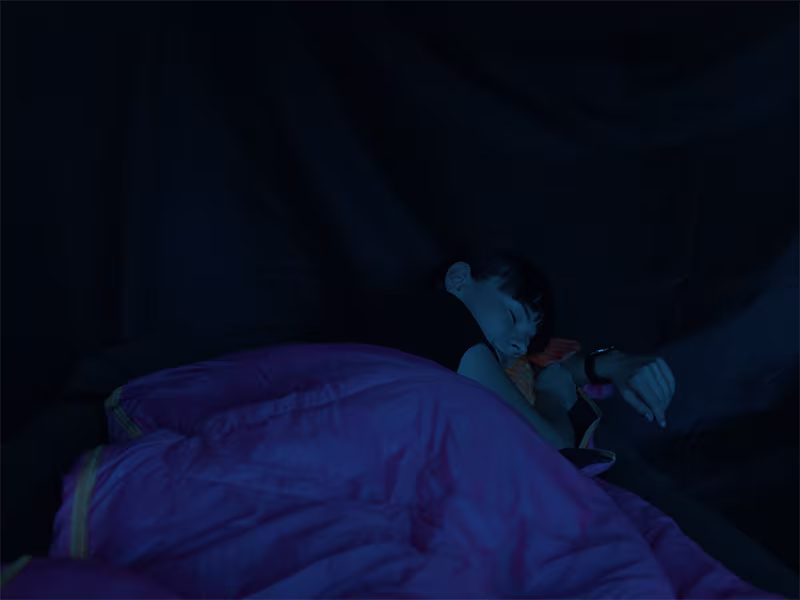 Sleeping bag Delphin QUEEN