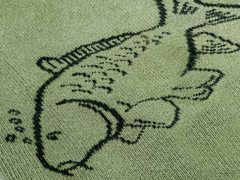 Socks Delphin CARP