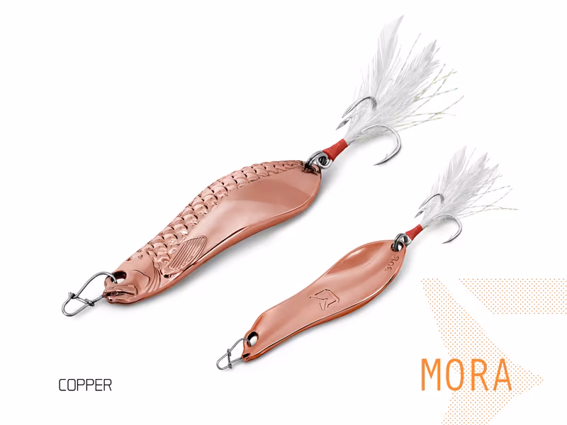 Spoon Delphin MORA