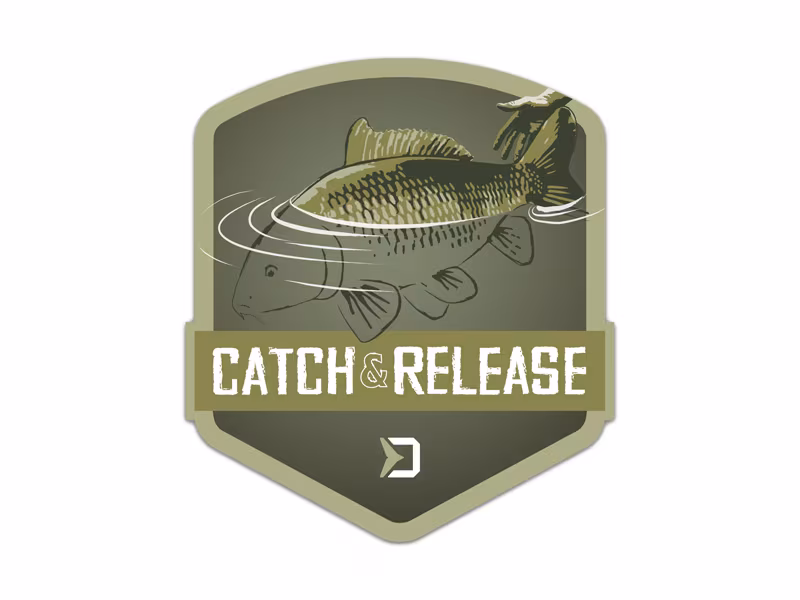 Sticker Delphin CATCH and RELEASE