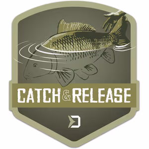 Sticker Delphin CATCH and RELEASE