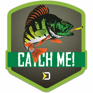 Sticker Delphin CatchME! PERCH