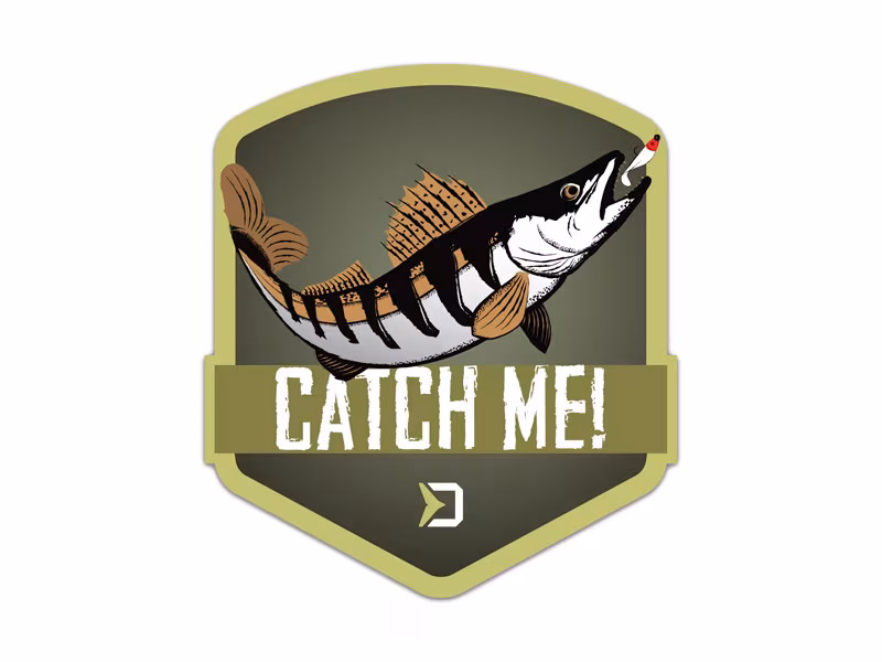 Sticker Delphin CatchME! ZANDER
