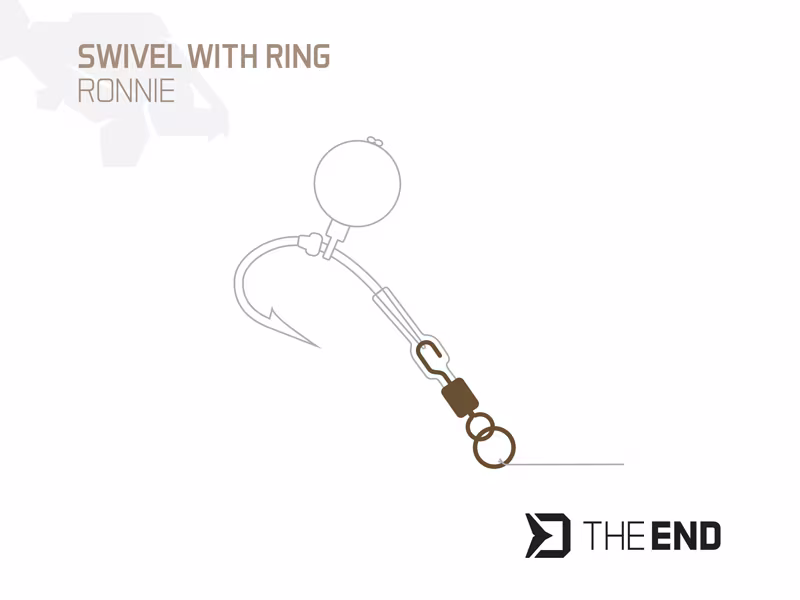 Swivel with a ring Delphin TheEND Ronnie 10 pcs