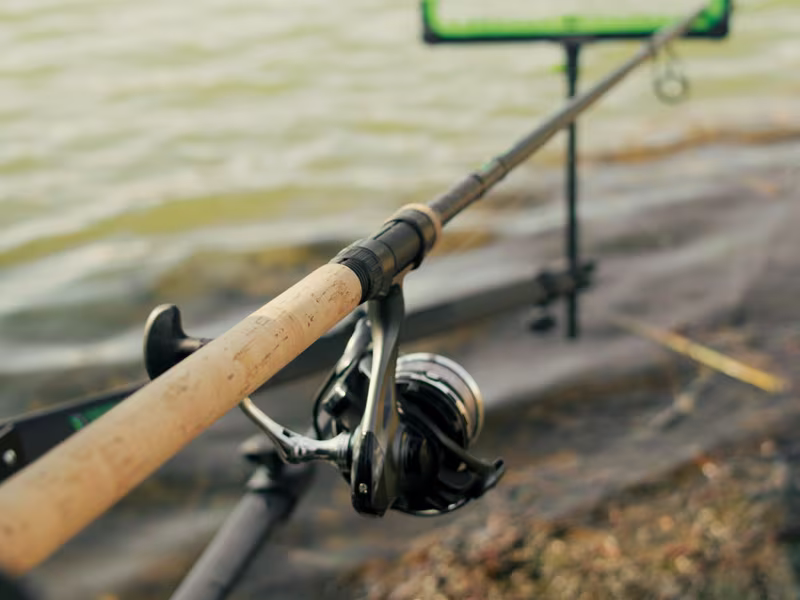 Tip Delphin REAXE Feeder LIGHT