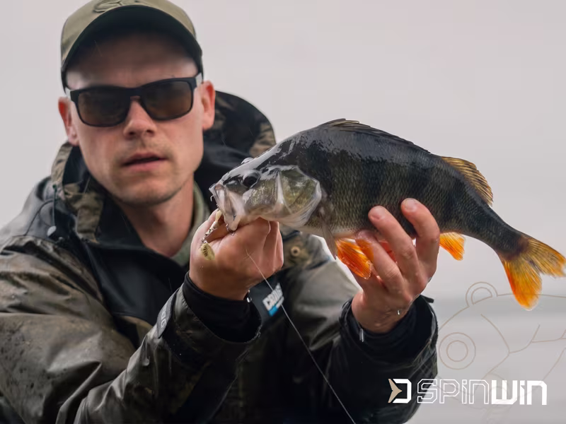 Vibrating lure Delphin SpinWIN