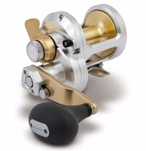 Multiplikatorinė Ritė Shimano Talica