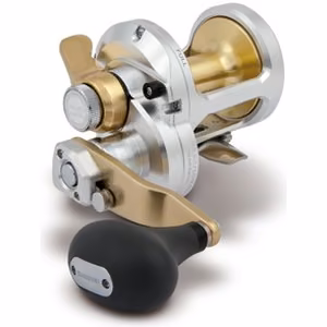 Multiplikatorinė Ritė Shimano Talica
