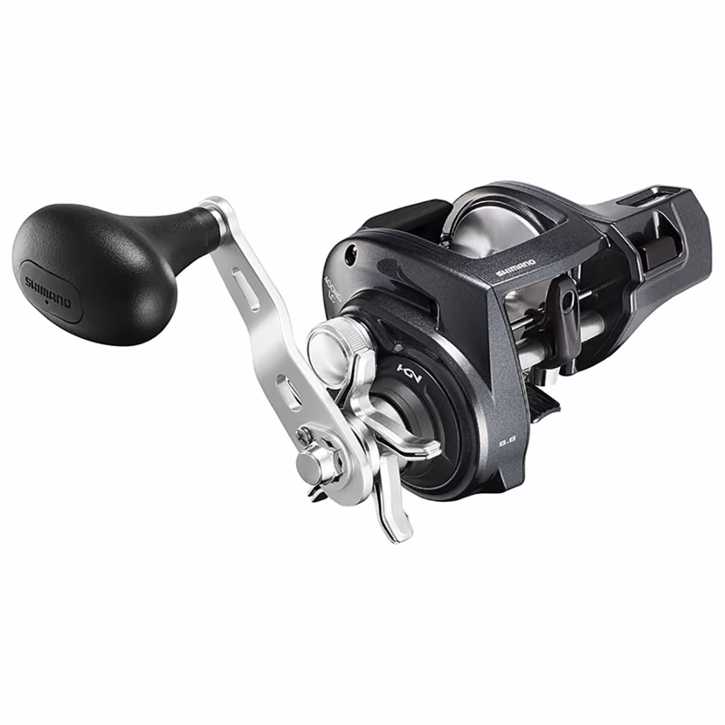 Multiplikatorinė Ritė Shimano Tekota A