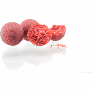 Boiliai Aiki Baits Mulberry