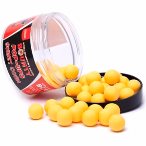 BOUNTY CLASSIC SWEET CORN Pop-up