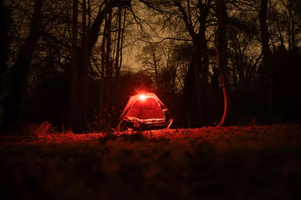 Nash Powerbanx Dome Lite