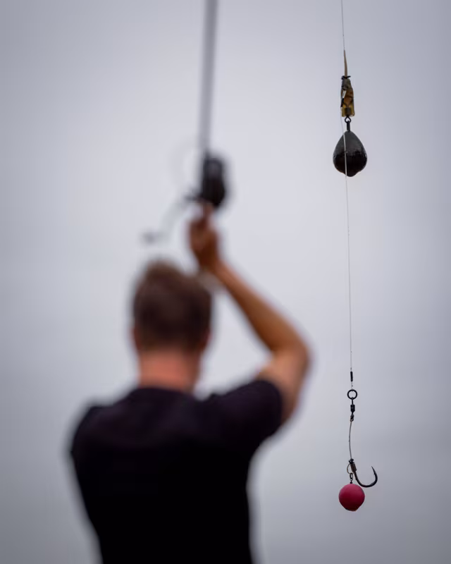 Fox Edges Link Illusion Fluorocarbon