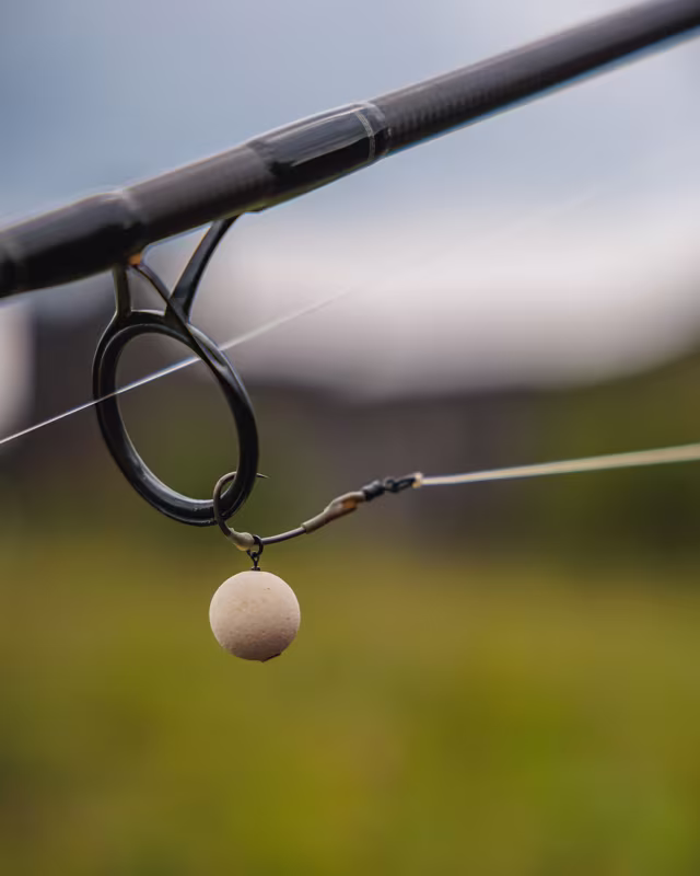 Fox Edges Spinner Rig