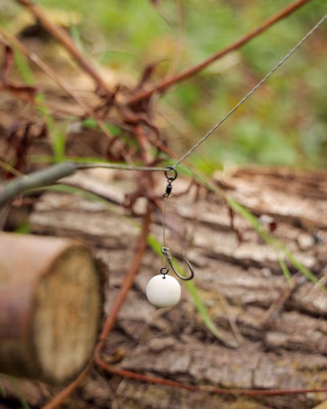Fox Edges SWOG Chod Rigs