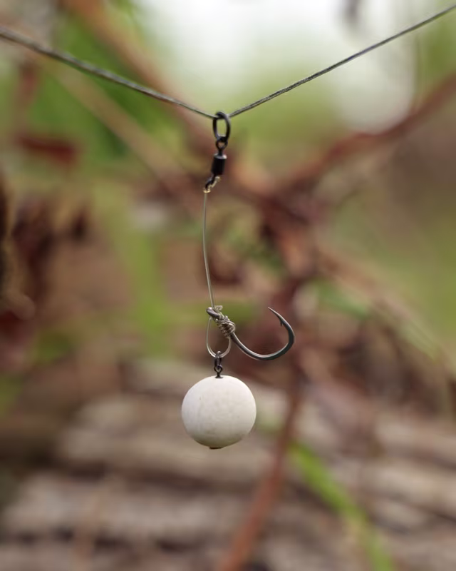 Fox Edges SWOG Chod Rigs