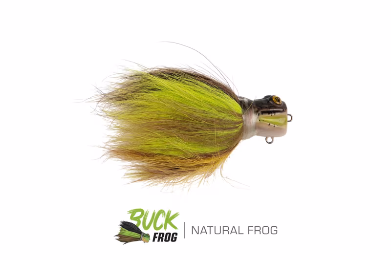 Fox Rage Buck Frog