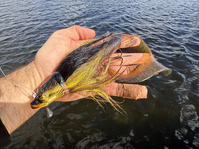 Fox Rage Buck Pike