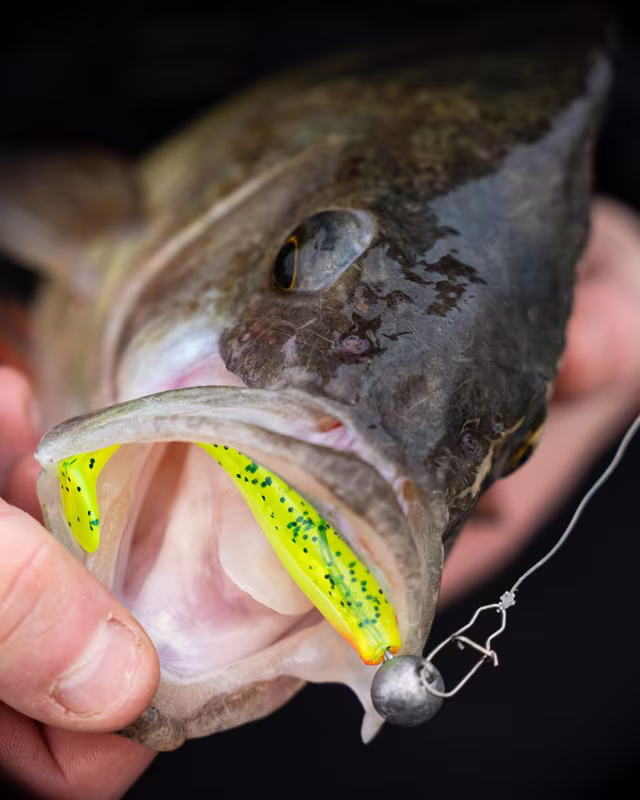 Fox Rage Bulk Loaded Zander Pro Shad
