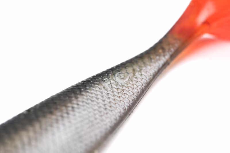 Fox Rage Pro Shad Ultra Natural Roach
