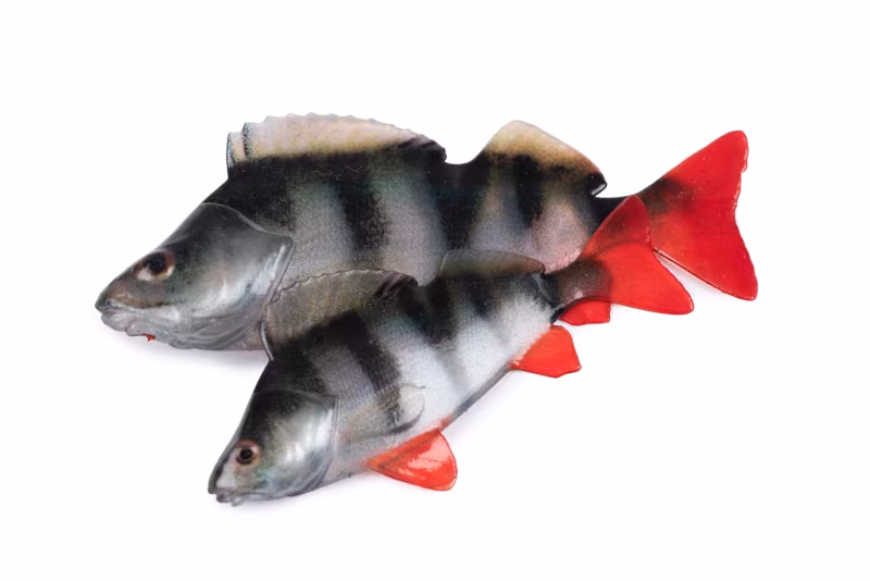 Fox Rage Ultra Natural Perch Fillet