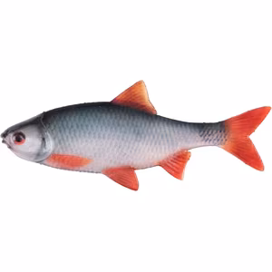 Fox Rage Ultra Natural Roach Fillet