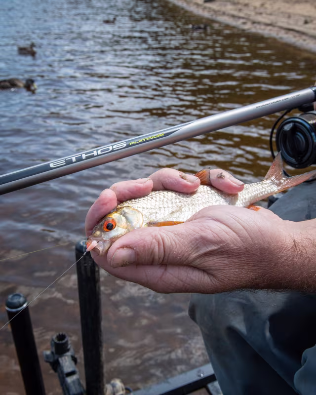 Matrix Ethos Platinum Medium Feeder