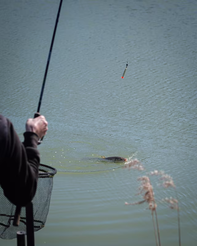 Matrix Foam Pellet Waggler