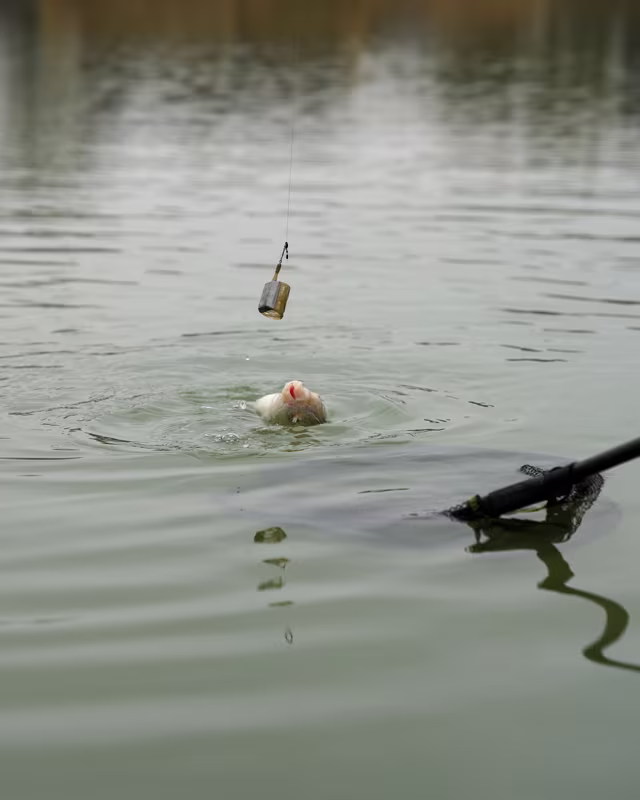 Matrix Plastic Open Ended Feeder