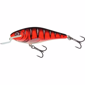 Salmo Executor