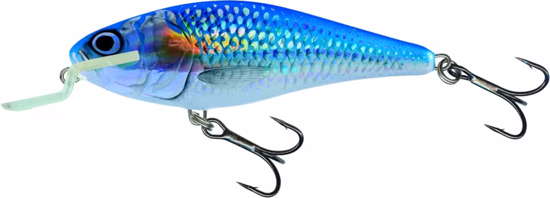 Salmo Executor