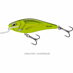 Salmo Executor Shallow Runner