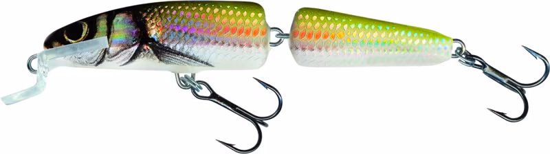 Salmo Fanatic Floating