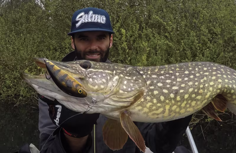 Salmo Fatso Floating Emerald Perch
