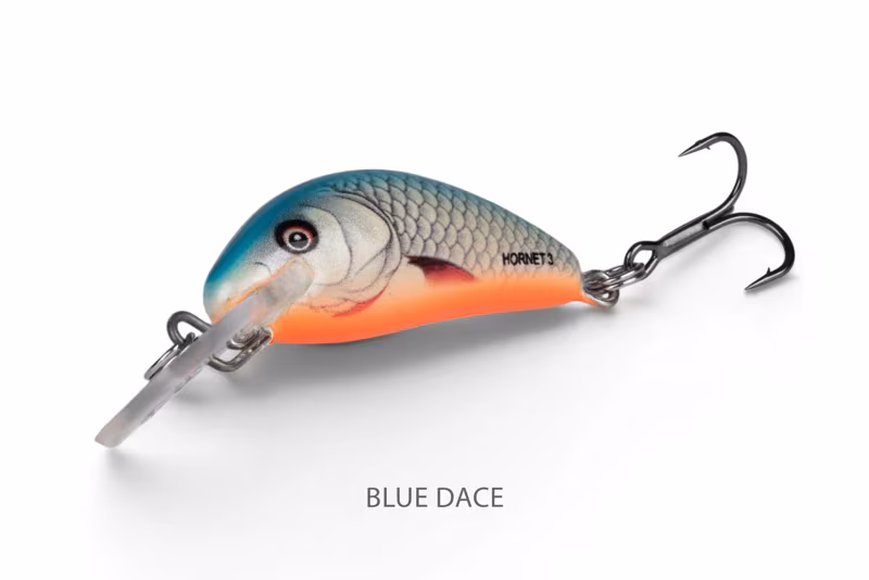 Salmo Hornet Floating Daceblue