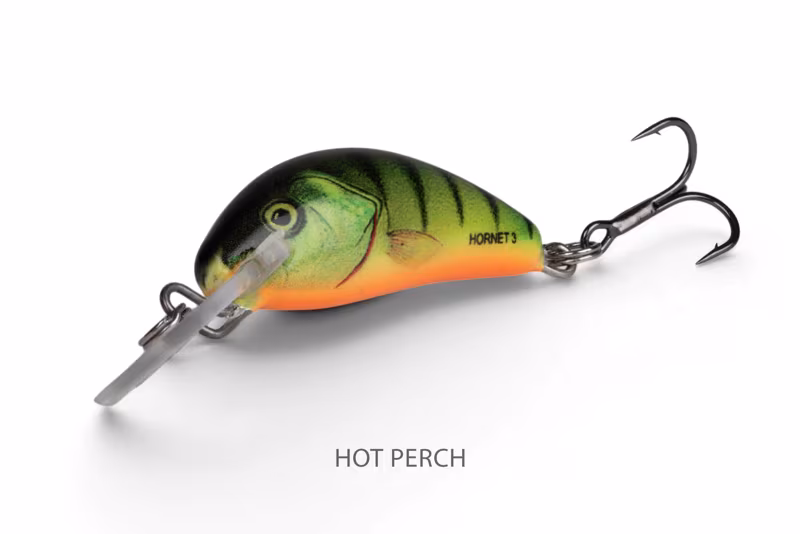 Salmo Hornet Sinking Hot Perch