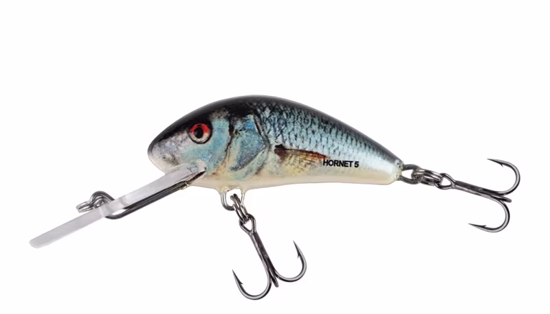 Salmo Hornet 4cm Sinking Real Dace