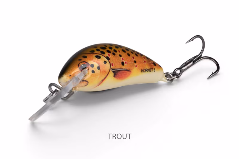 Salmo Hornet Sinking Trout