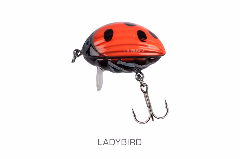 Salmo Lil Bug Ladybird