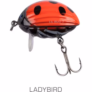Salmo Lil Bug Ladybird