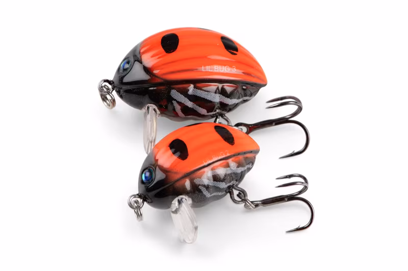 Salmo Lil Bug Ladybird