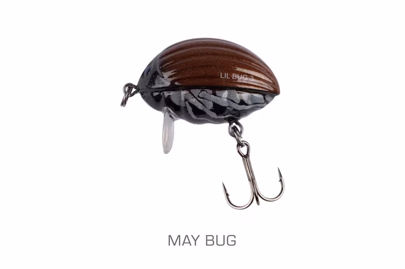Salmo Lil Bug May