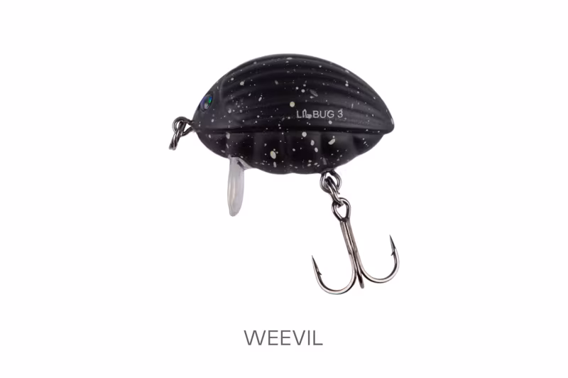 Salmo Lil Bug Weevil
