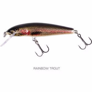 Salmo Minnow Floating Rainbow Trout
