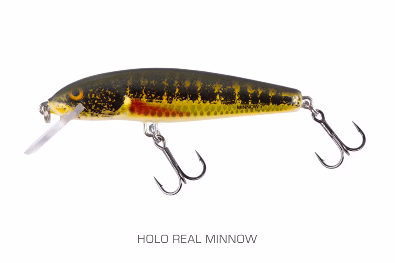 Salmo Minnow Sinking Holo Real