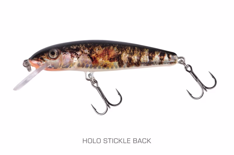 Salmo Minnow Sinking Holo Stickle Back