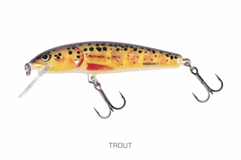 Salmo Minnow Sinking Trout