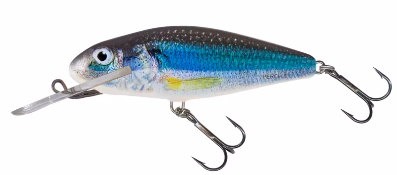 Salmo Perch Deep Runner