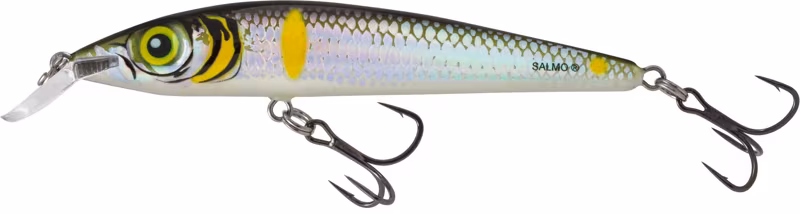 Salmo Rattlin Sting Suspending