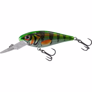 Salmo Rattlin’ Executors